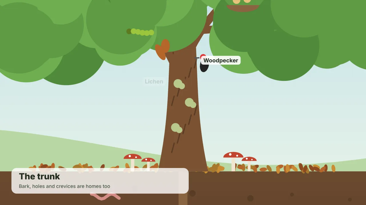 A tree as an ecosystem